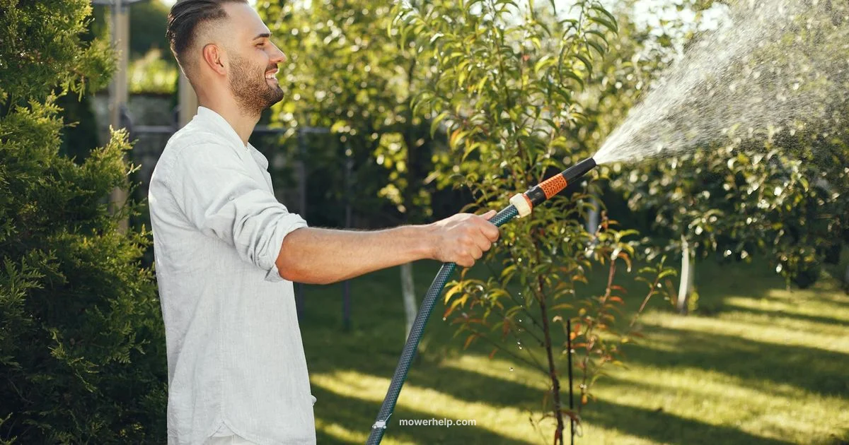 Lawn Mower 5.0 Review - Mower Help