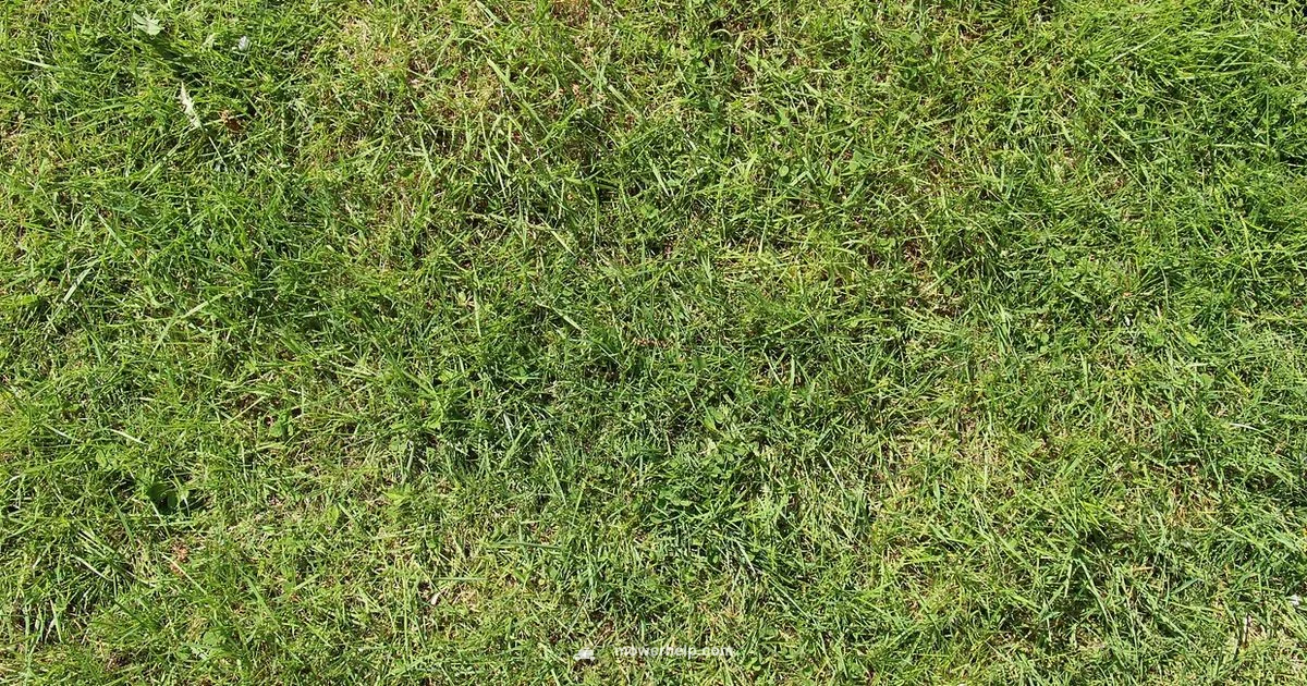 Lawn Mower Costs - Mower Help