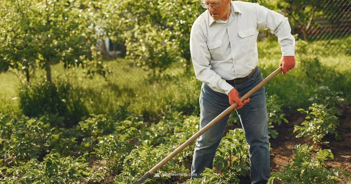 Weed Eater vs Lawn Mower - Mower Help