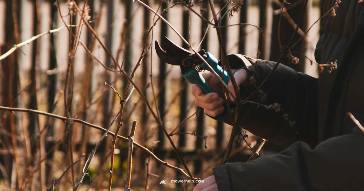 Durable 21-Inch Mower - Mower Help