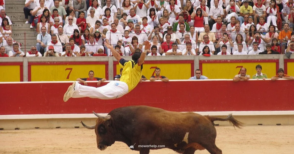 Toro Repair Guide - Mower Help