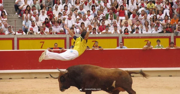 Toro Repair Guide - Mower Help