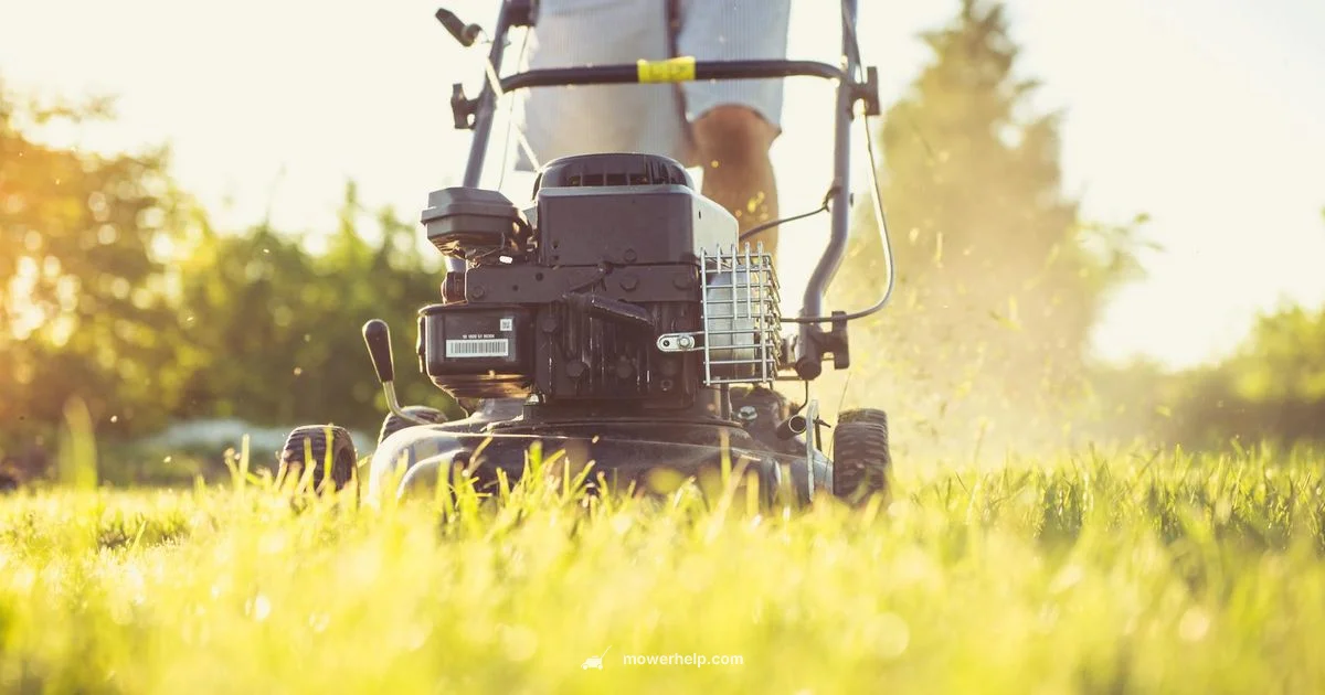 Push Mower Pricing - Mower Help