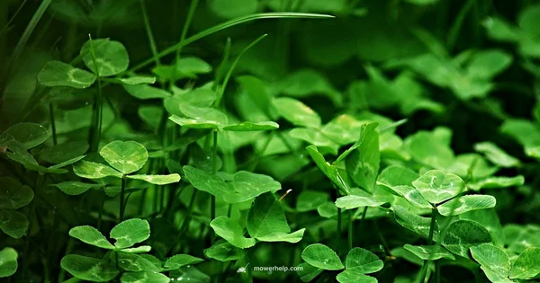 Blade Visual Guide - Mower Help