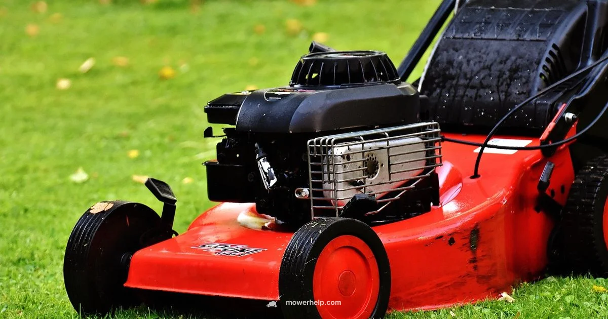 Gas for Lawnmowers - Mower Help