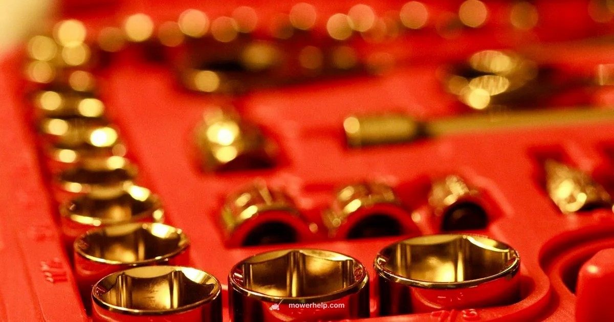 Budget Mower Picks - Mower Help