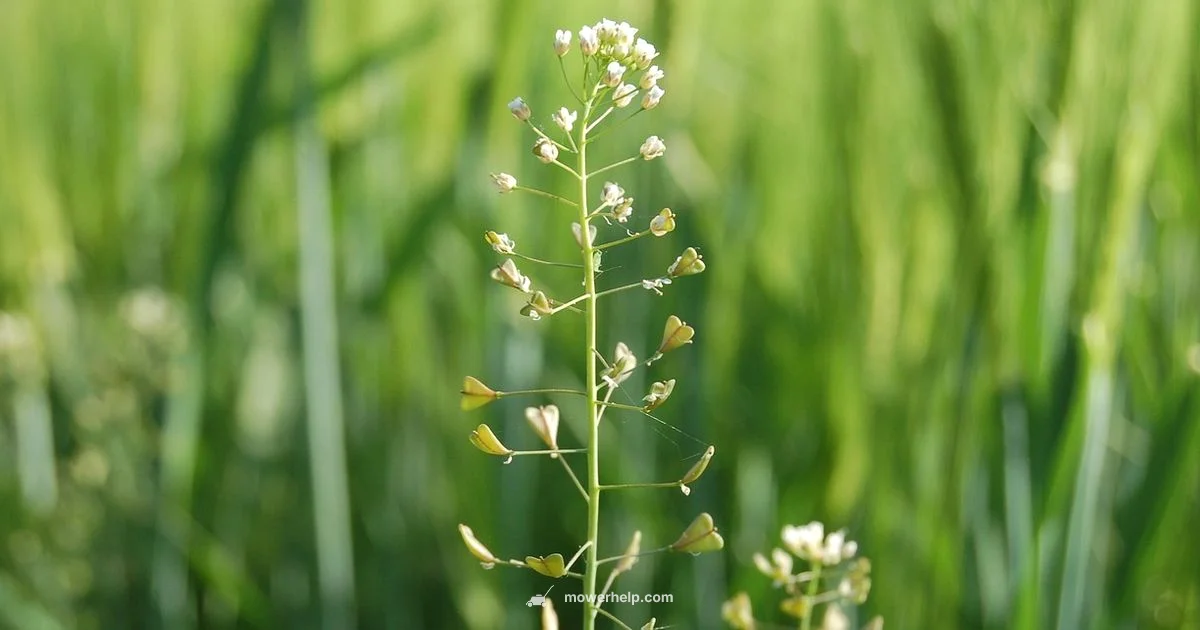 Bagging Guide Bagging Guide - Mower Help