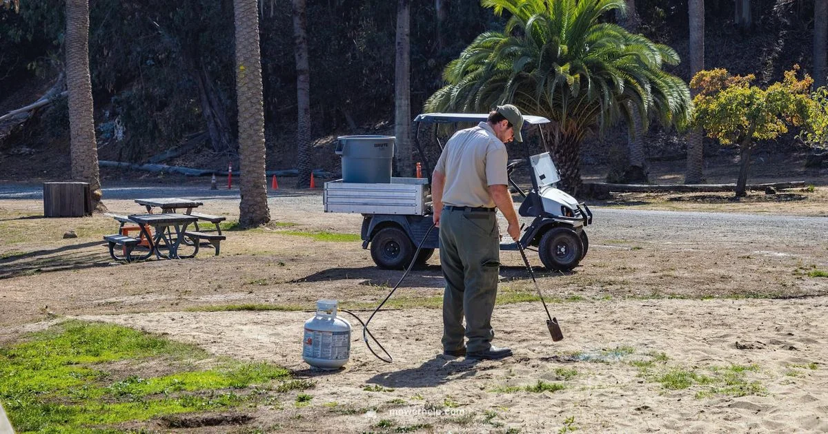 Gas Powered Mower Guide Gas Powered Mower Guide - Mower Help