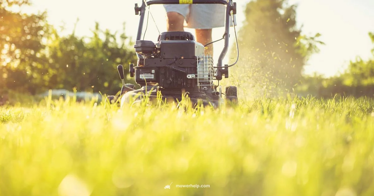 Gas Cap Guide - Mower Help