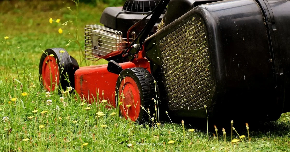 Drain Mower Oil - Mower Help