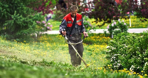 Compression Check - Mower Help
