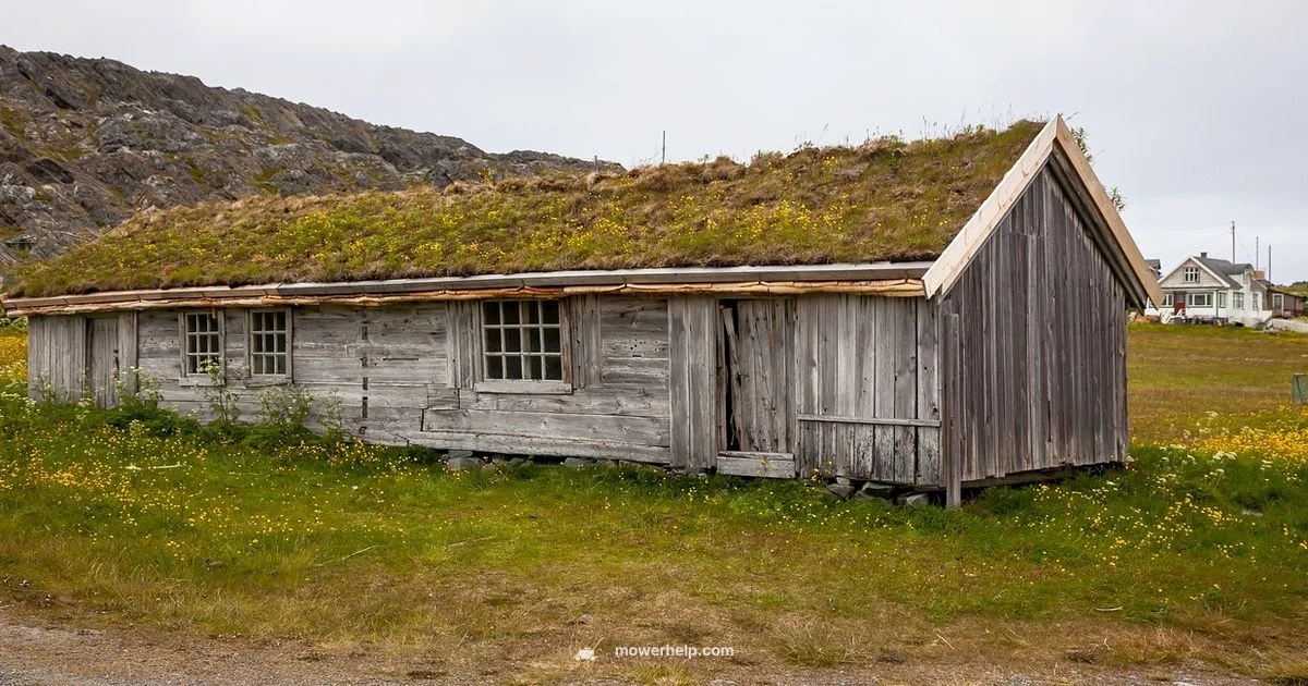 Lawn Mower 1.0 Overview - Mower Help