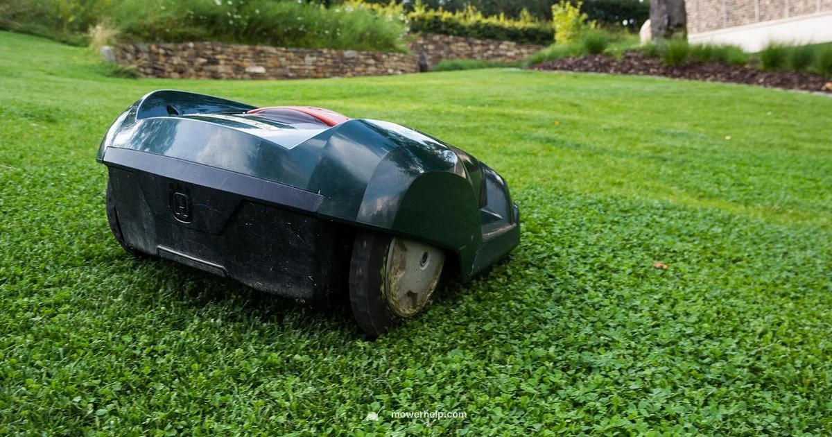 Rent a mower near me Rent a mower near me - Mower Help