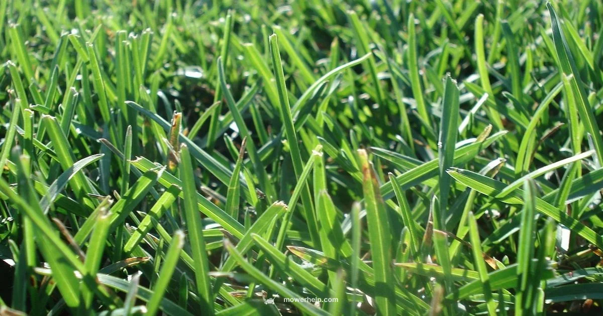 Mowing Basics - Mower Help