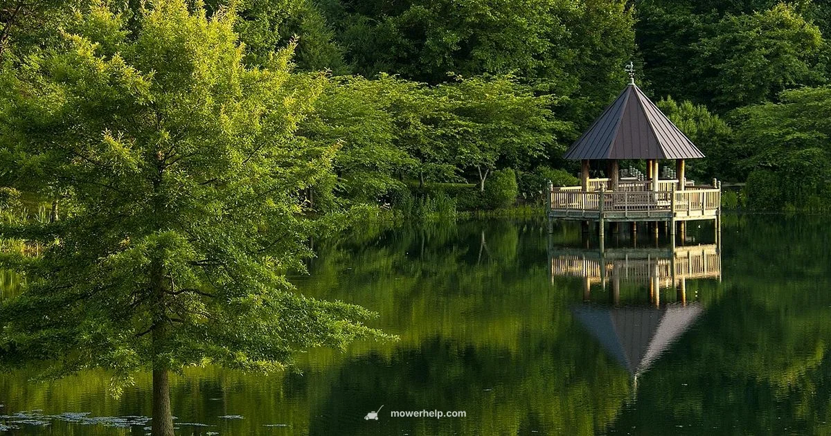 Gas-Out Start Fix - Mower Help