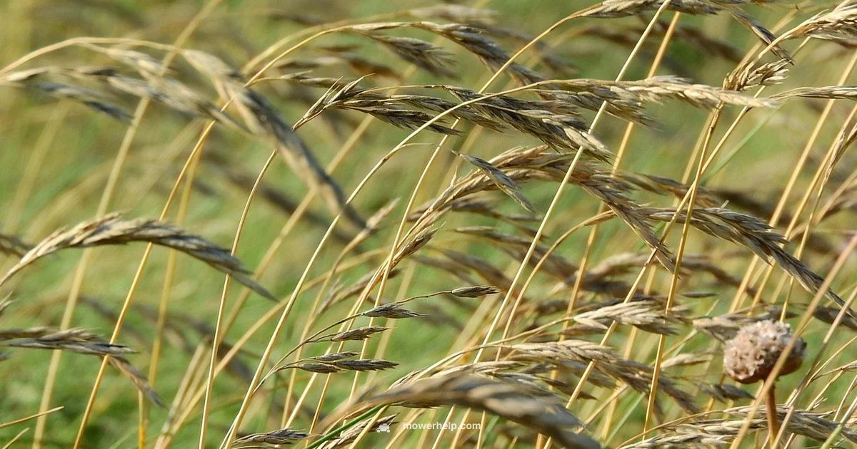 Blade Sharpening Guide Blade Sharpening Guide - Mower Help