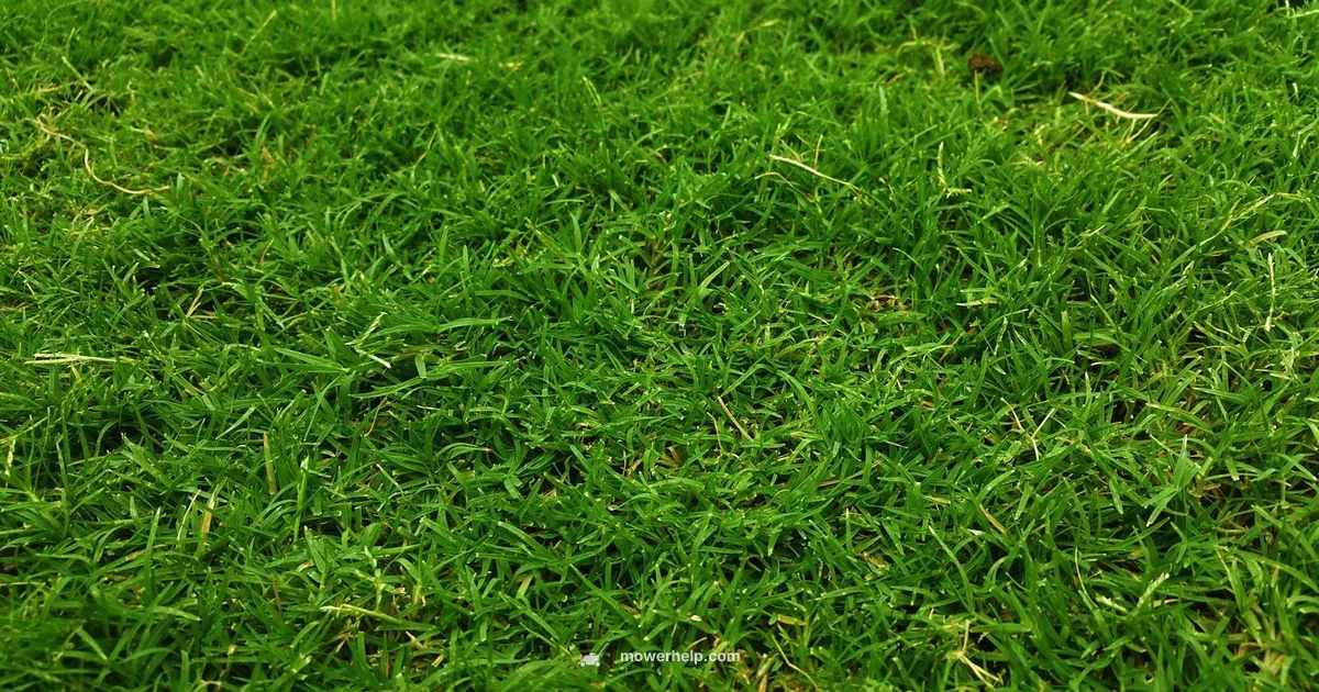 Ikon XD 60 Overview - Mower Help