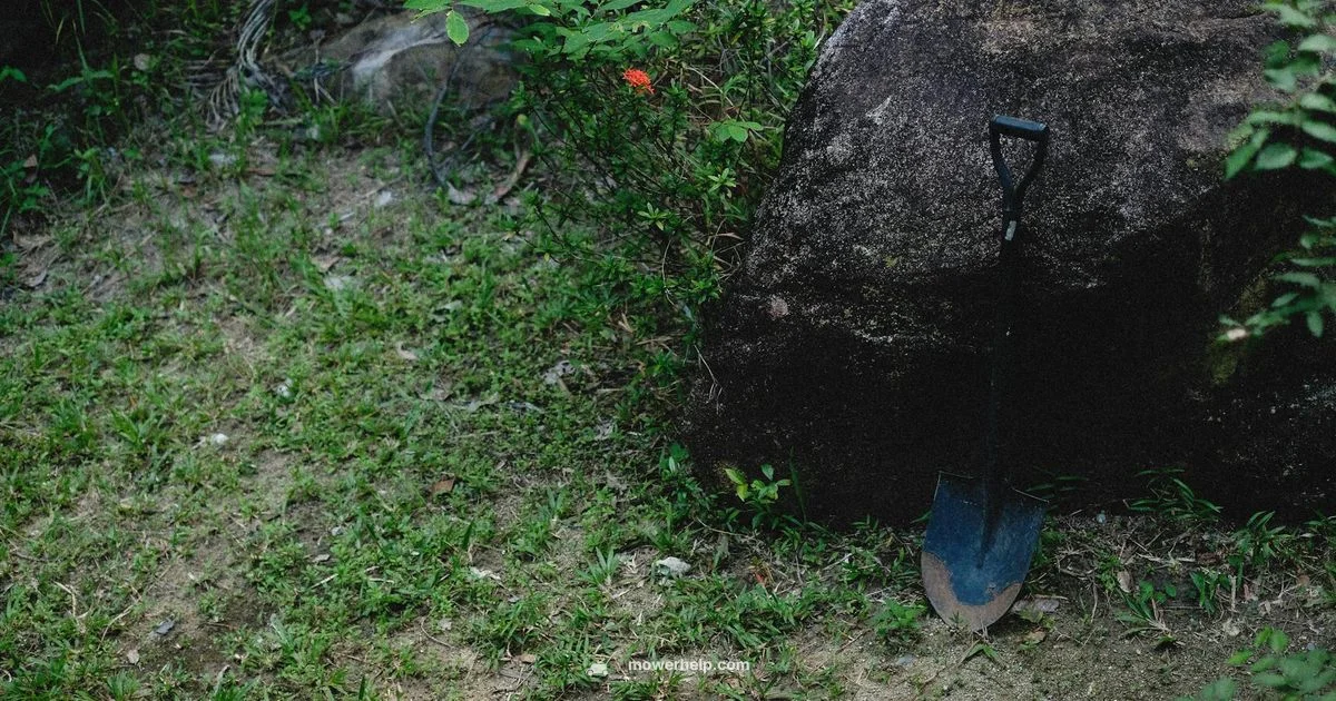 Ryobi Grass Cutter Guide - Mower Help