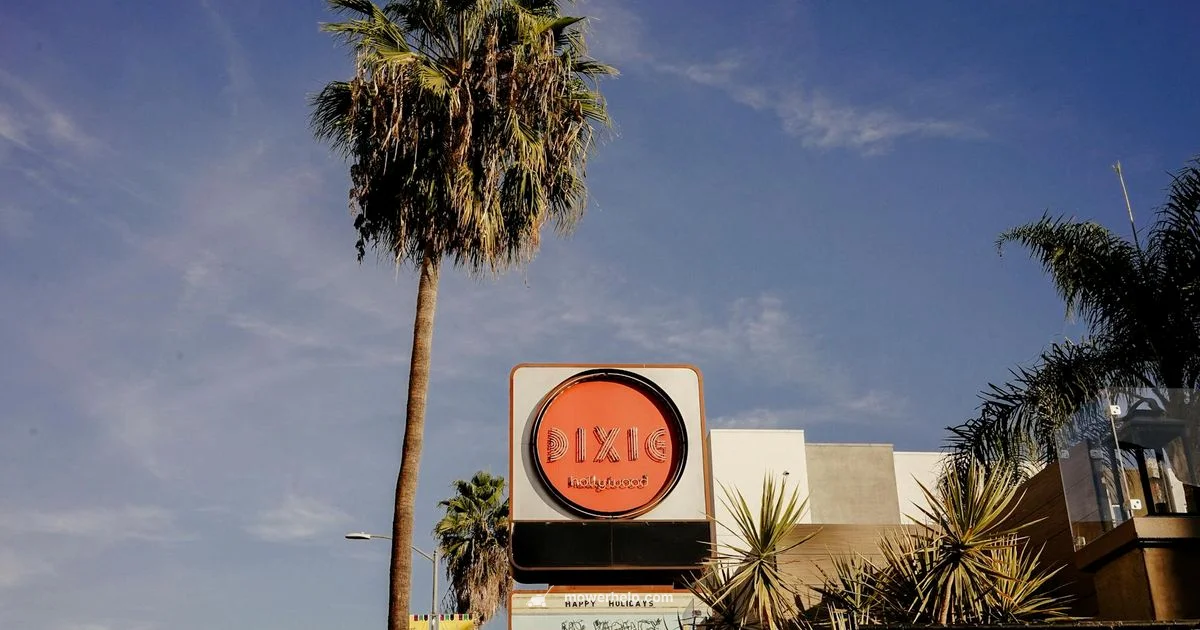 Dixie Chopper Guide - Mower Help