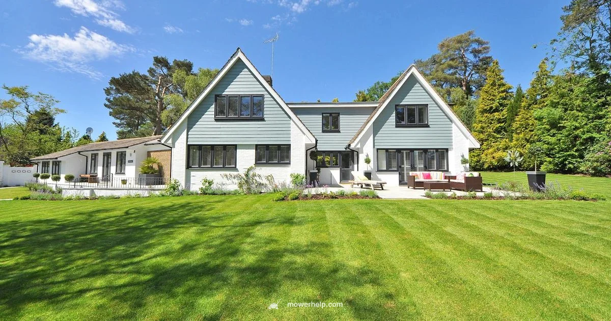 Skip Disposal Guide Skip Disposal Guide - Mower Help