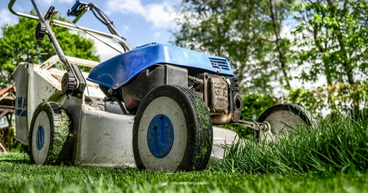 Starter Check - Mower Help