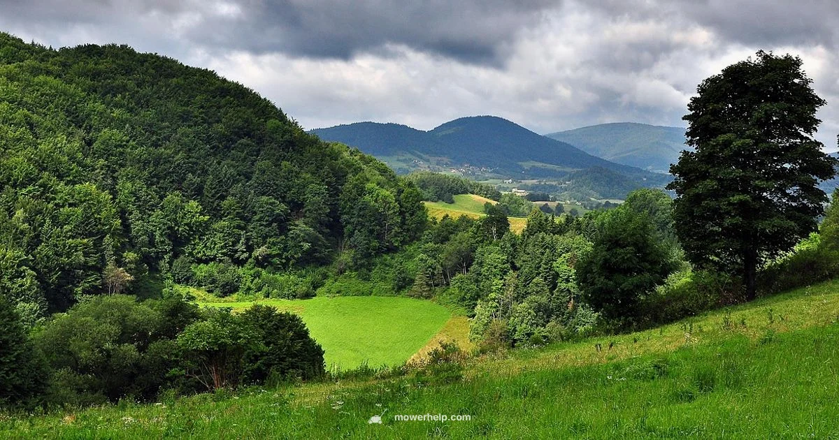 Poland Pro Lawn Mower - Mower Help