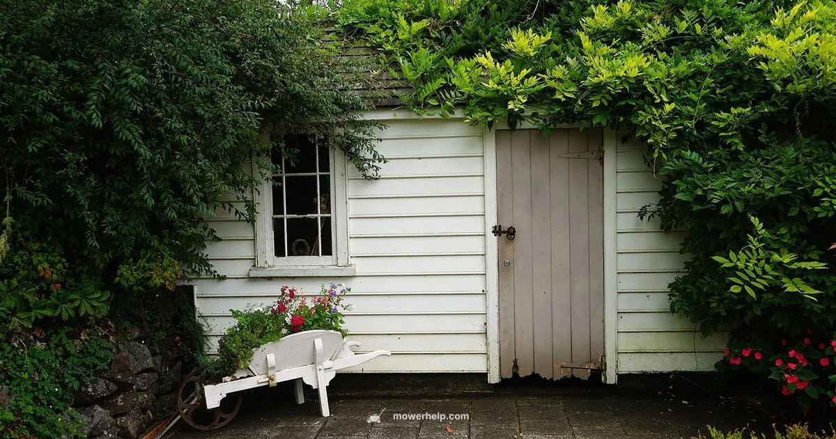 Quiet Lawn Care - Mower Help