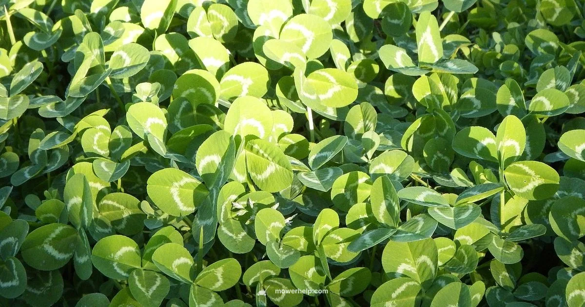 Bag Replacement Guide Bag Replacement Guide - Mower Help