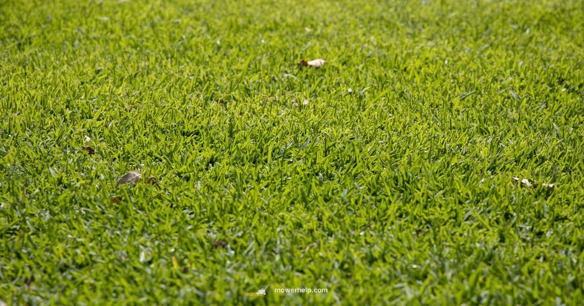 Front Wheel Guide - Mower Help