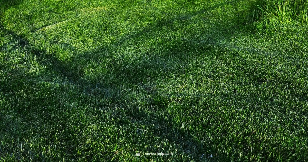 Wide Cut Guide - Mower Help