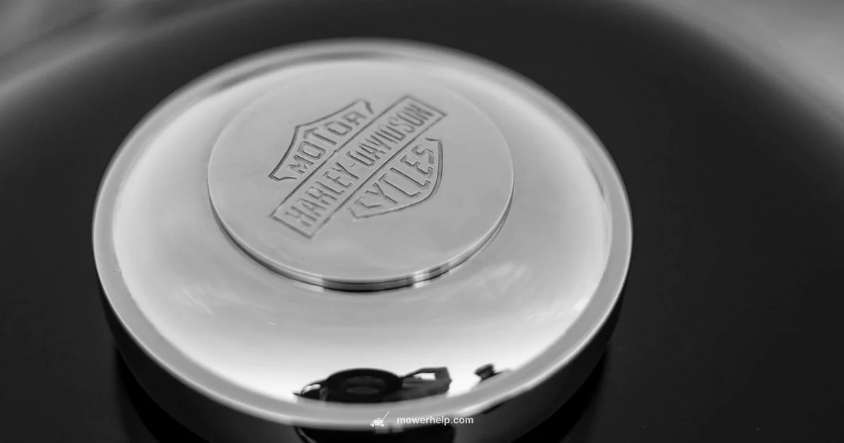 Gas Cap Guide - Mower Help