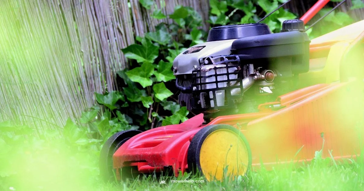 Lawn Mower Guide Lawn Mower Guide - Mower Help