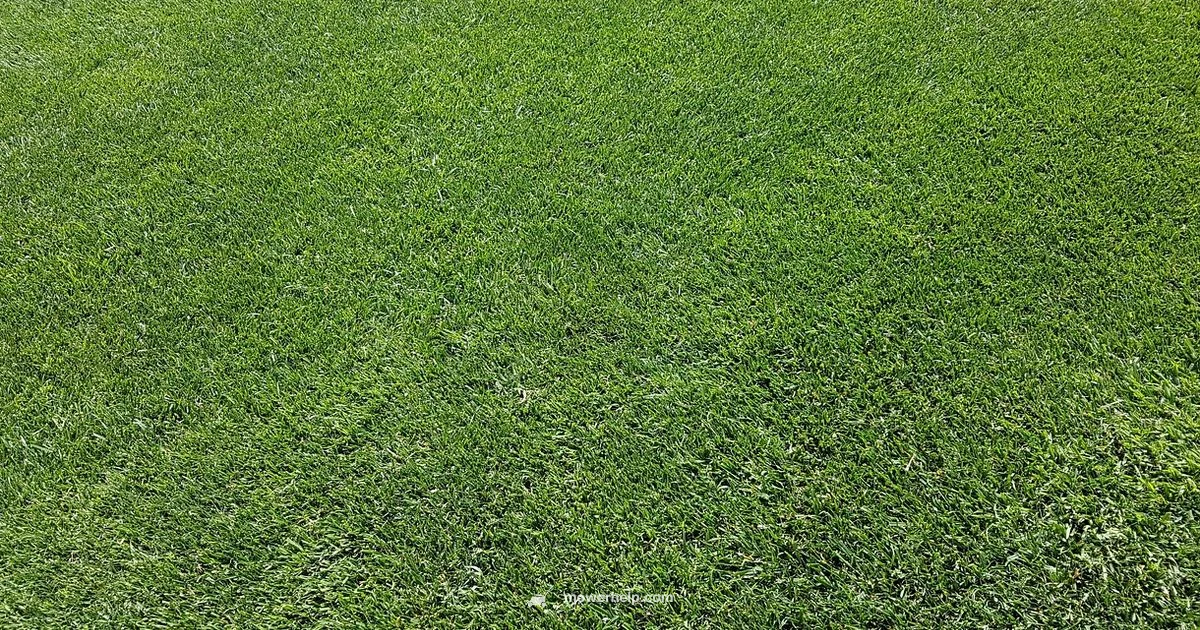 Oil Maintenance - Mower Help