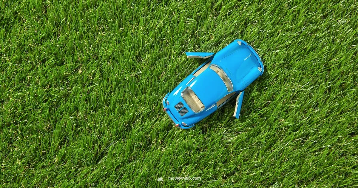 Lawn Mower Cartoons - Mower Help