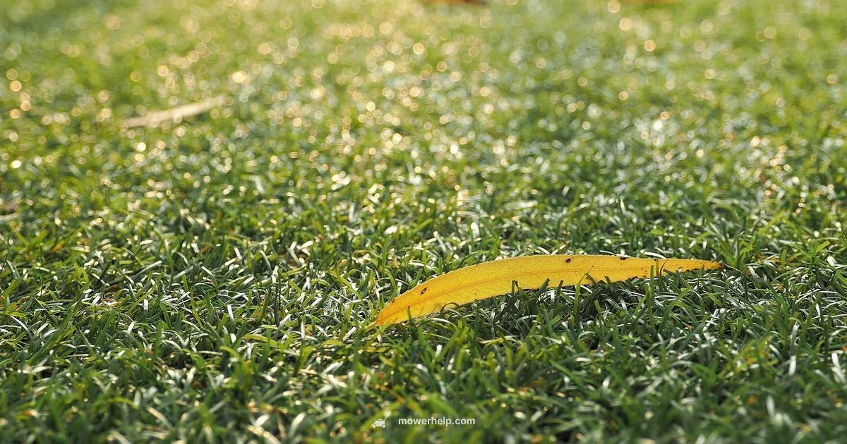 Electric Mower Guide - Mower Help