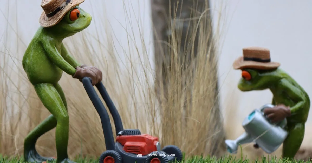 Lawn mower car - Mower Help