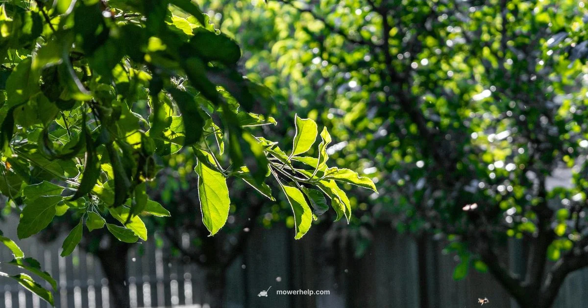 435X Overview - Mower Help