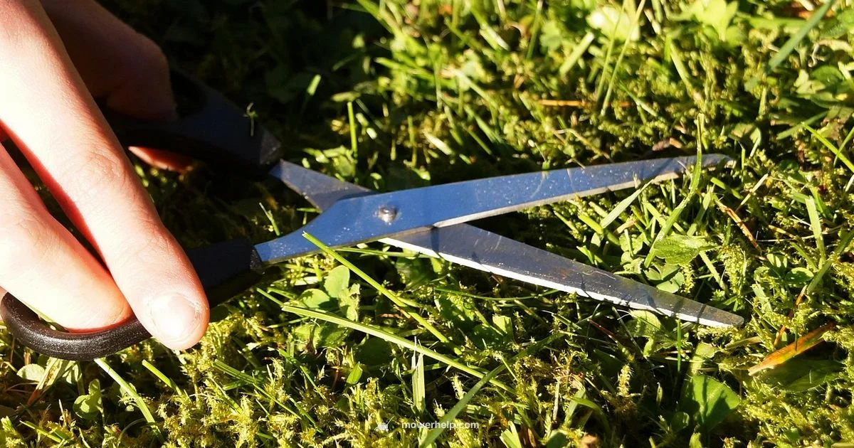 Mower Rental Guide Mower Rental Guide - Mower Help