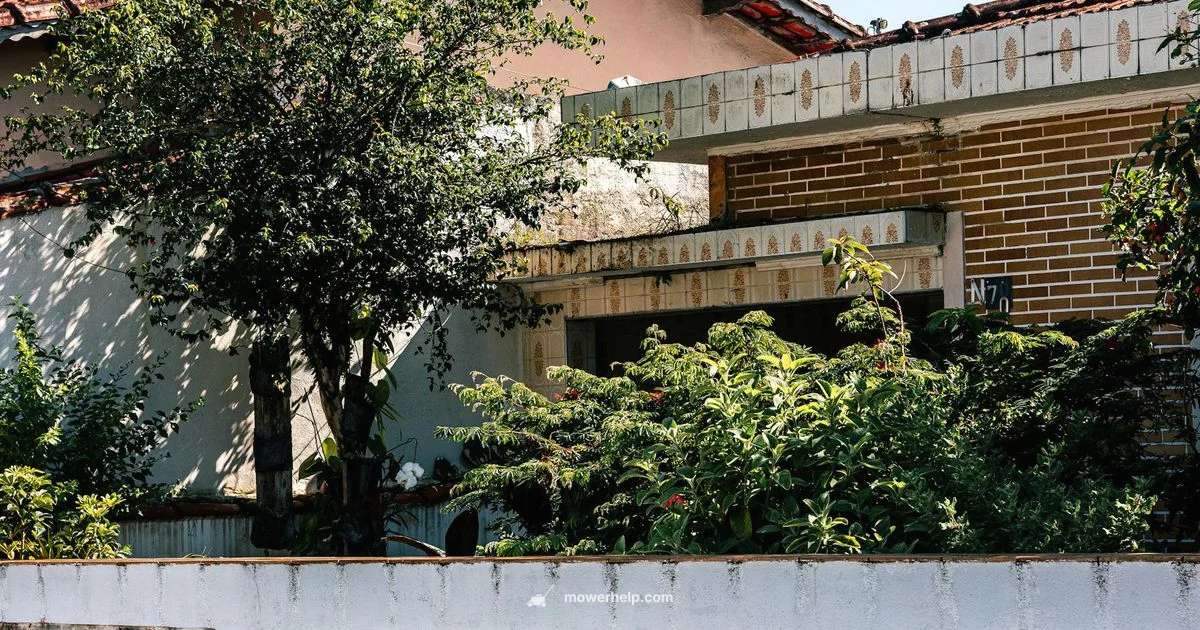 Ariens 42 Ride-On - Mower Help