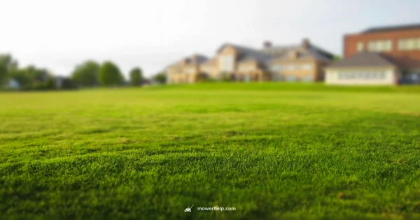 Push Mowers 2026 - Mower Help