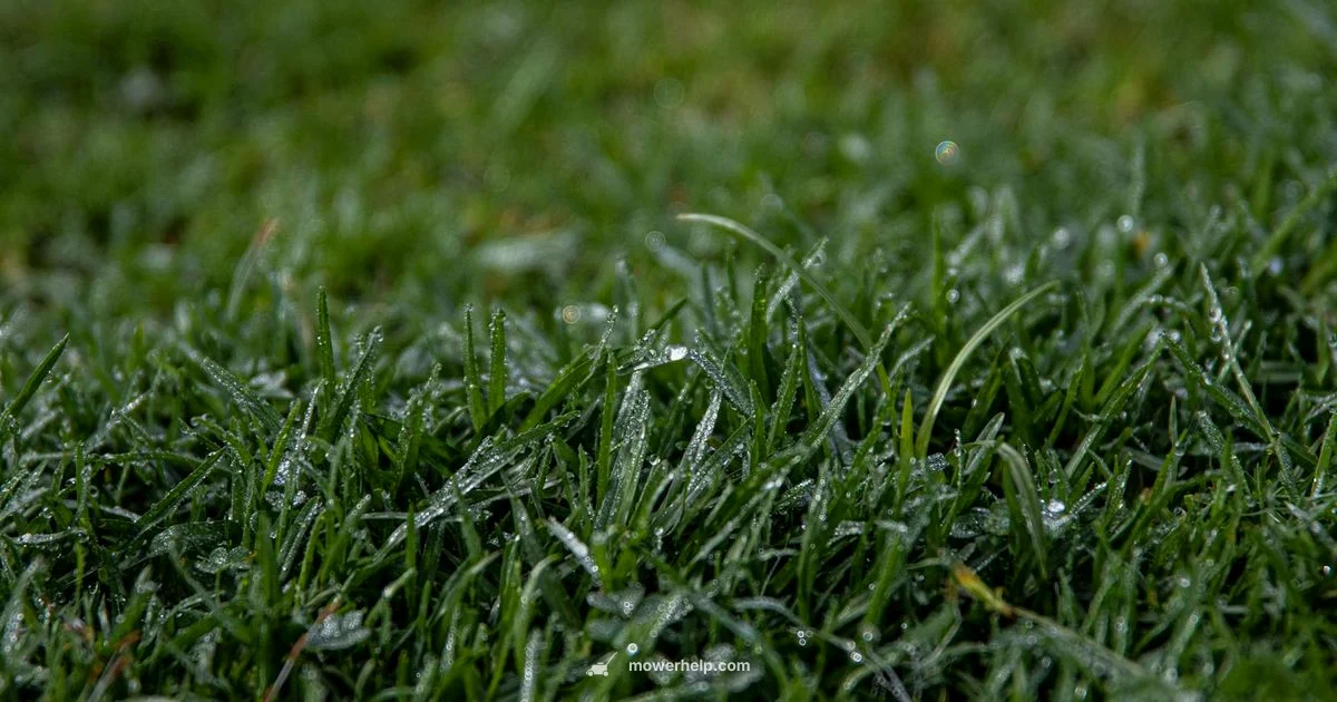 Shutdown Dilemma - Mower Help