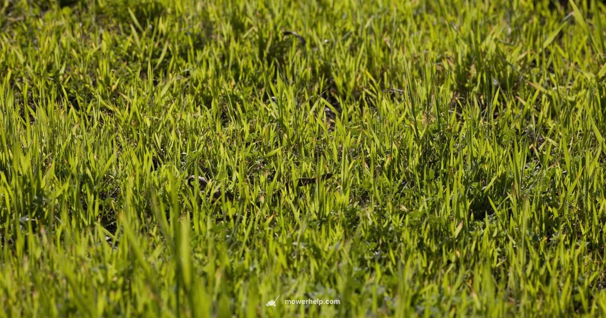 Honda Engine Guide Honda Engine Guide - Mower Help