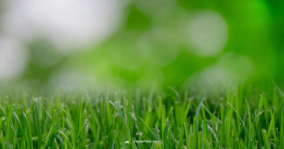 Zero Turn Start Guide Zero Turn Start Guide - Mower Help