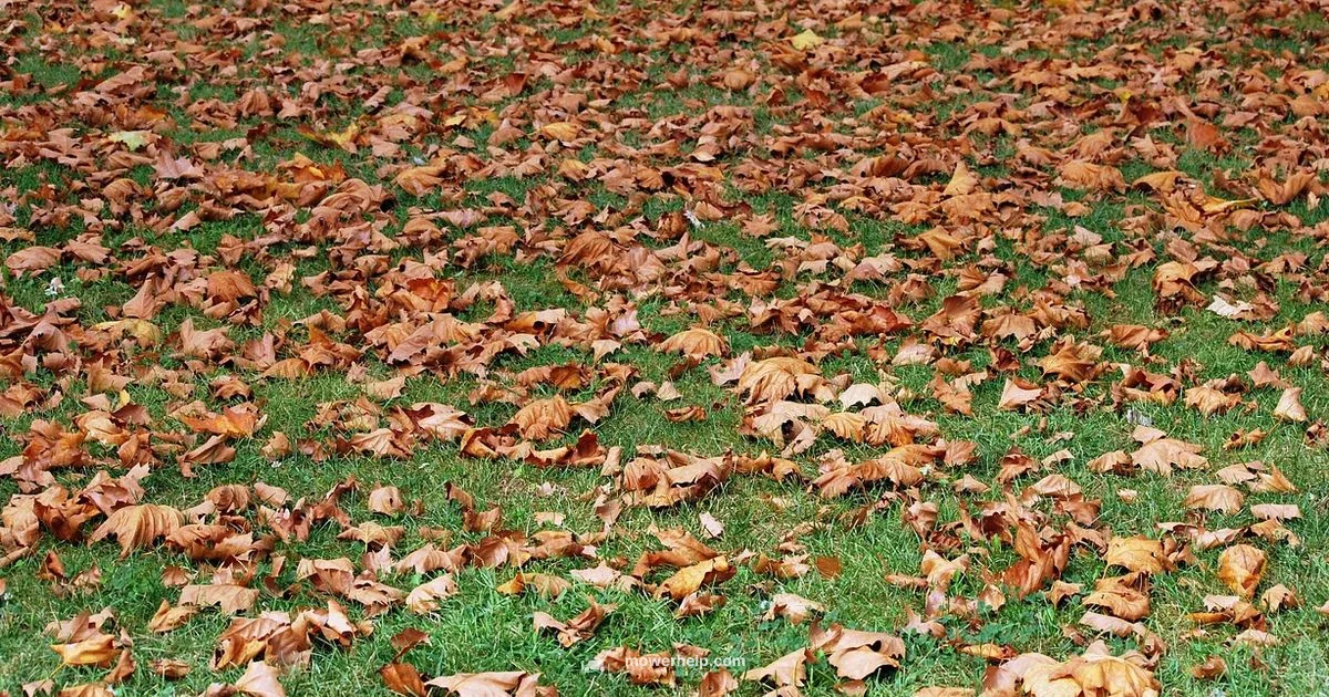 Leaf Pickup Guide - Mower Help