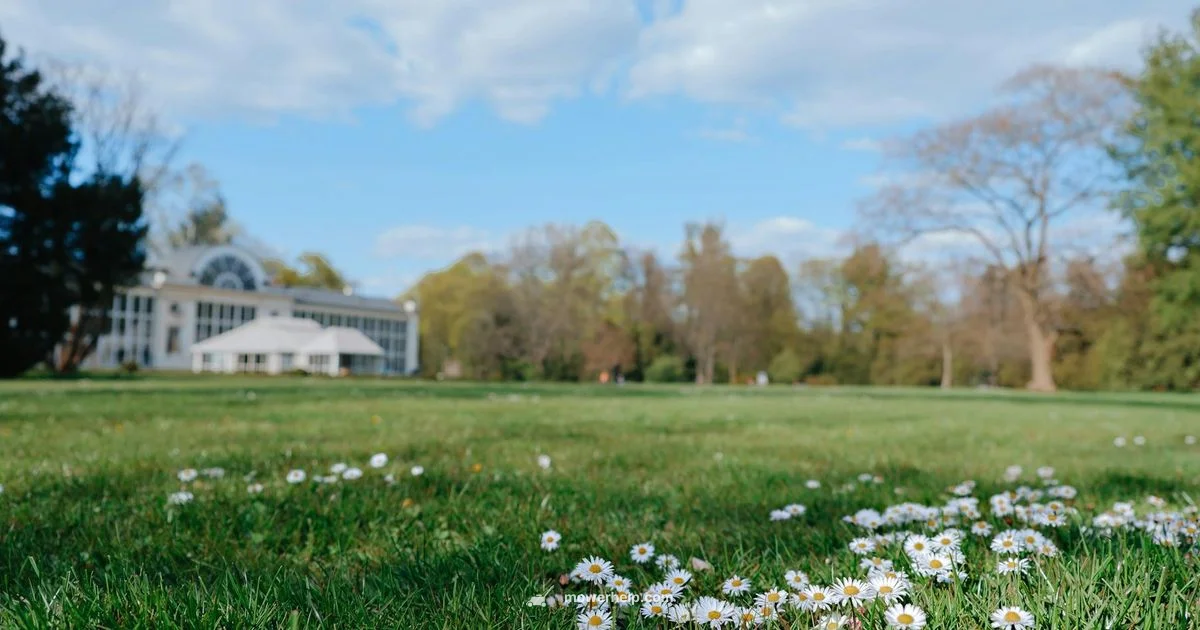 Oil Viscosity Guide - Mower Help