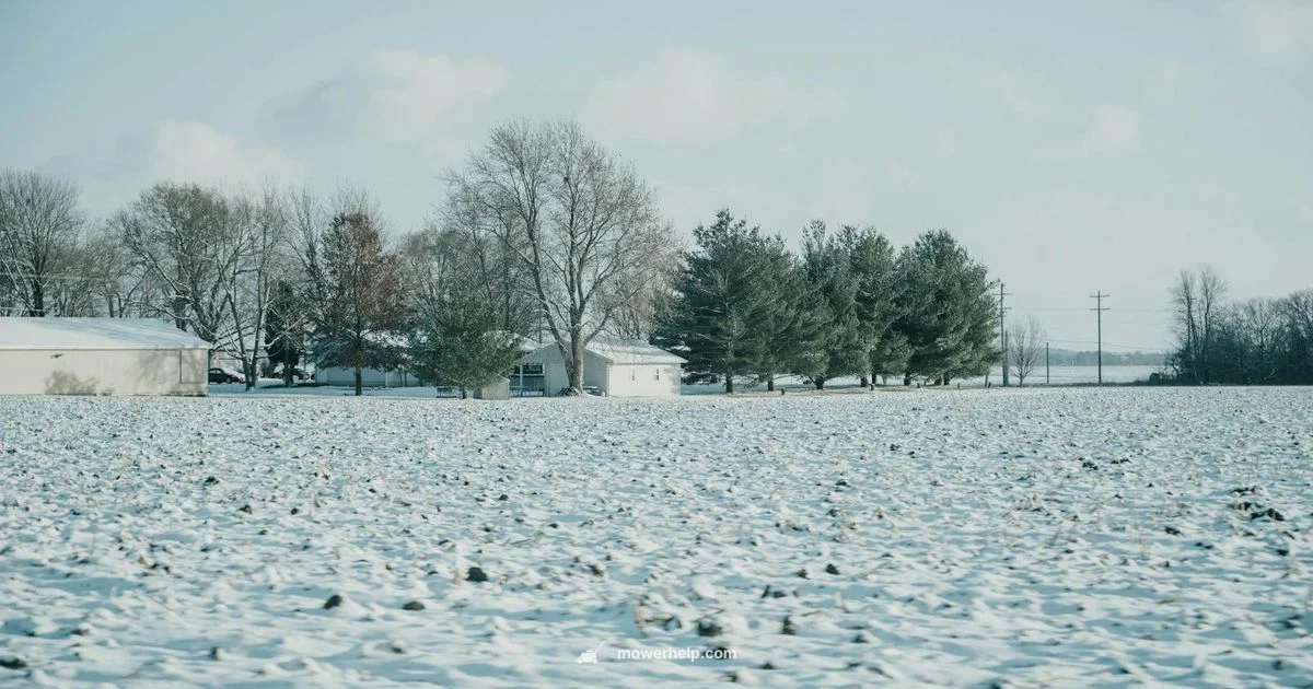 Dixon Mowers Guide - Mower Help