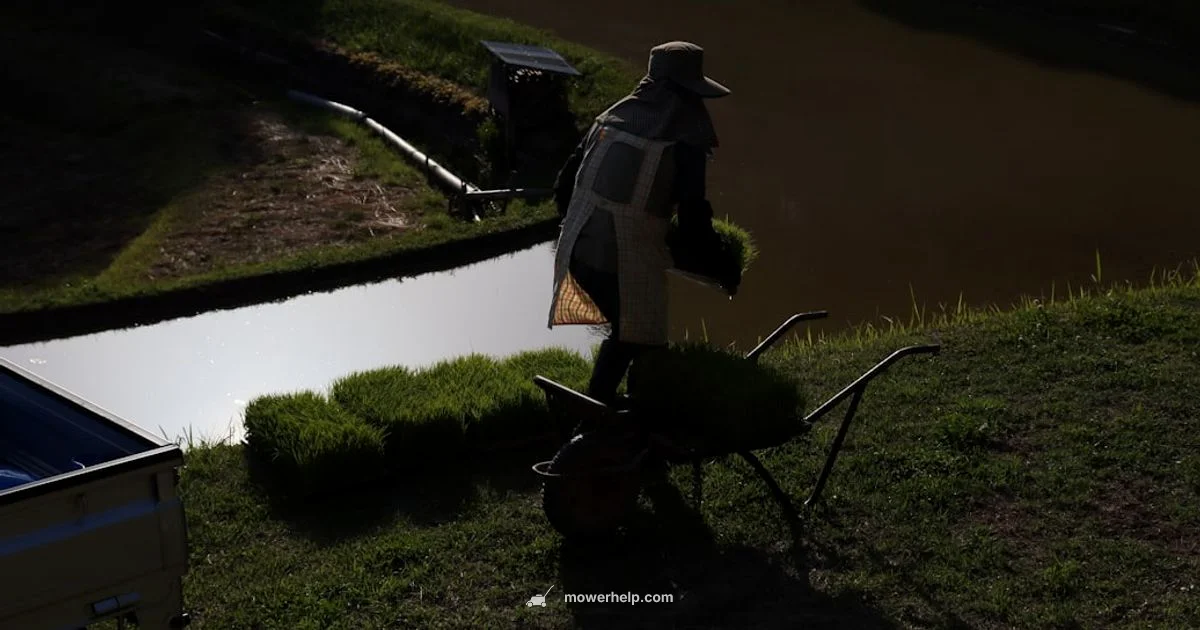 Difficult Start Guide - Mower Help