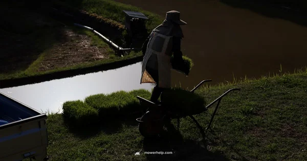 Difficult Start Guide - Mower Help