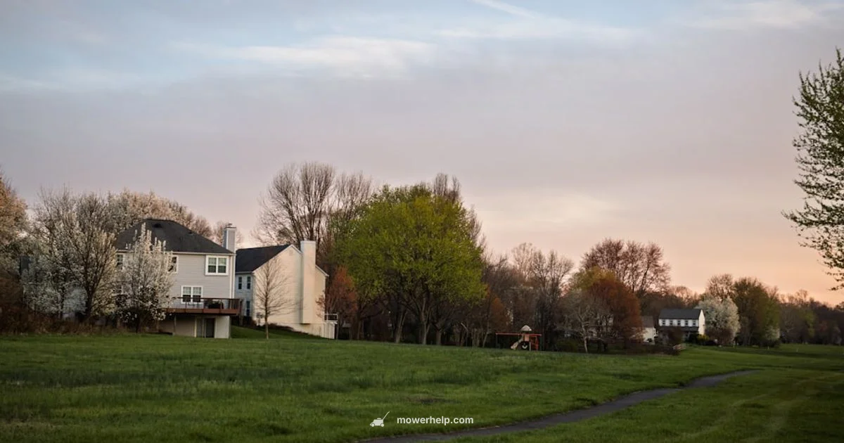 Beginner-Friendly Ride-On - Mower Help