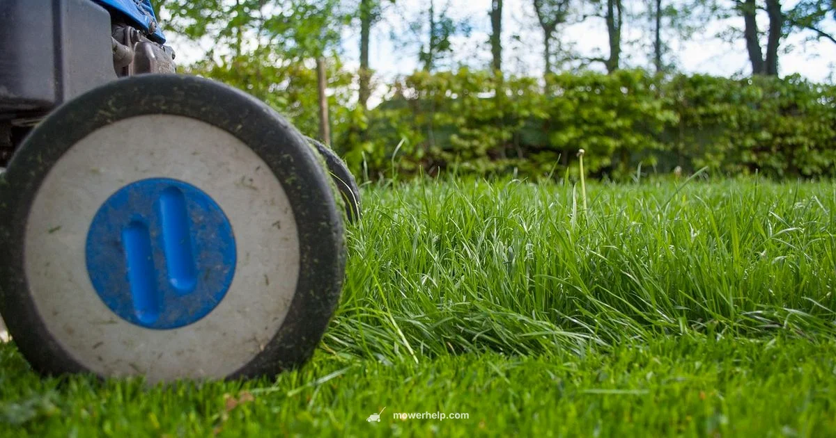 Lawn Mower Lifespan Lawn Mower Lifespan - Mower Help